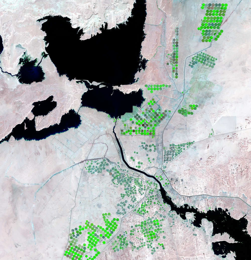 Nov. 22 and 29, 2021, Landsat 8 (path/row 175,176/44) — close-up of irrigated fields near the Toshka Lakes, Egypt