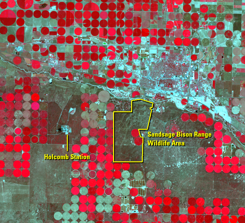Aug. 26, 2021, Landsat 8 (path/row 30/34) — Center-pivot irrigation near Garden City, Kansas, USA
