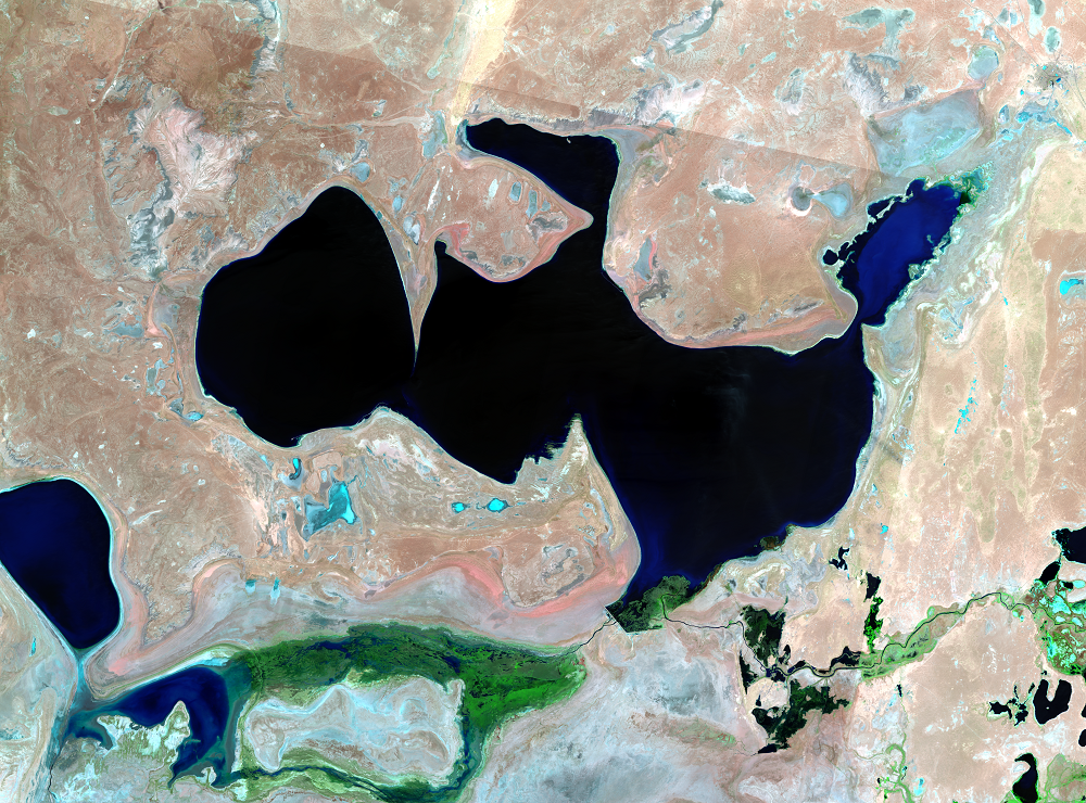 May 12, June 20, 22, 29, 2021, Landsat 8 (path/row 160–162/27–30) — North Aral Sea