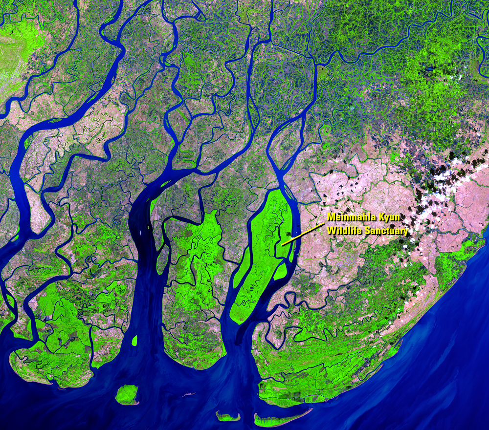 Jan. 3, 2022, Landsat 8 (path/row 133/49) — Ayeyarwady Delta, Myanmar