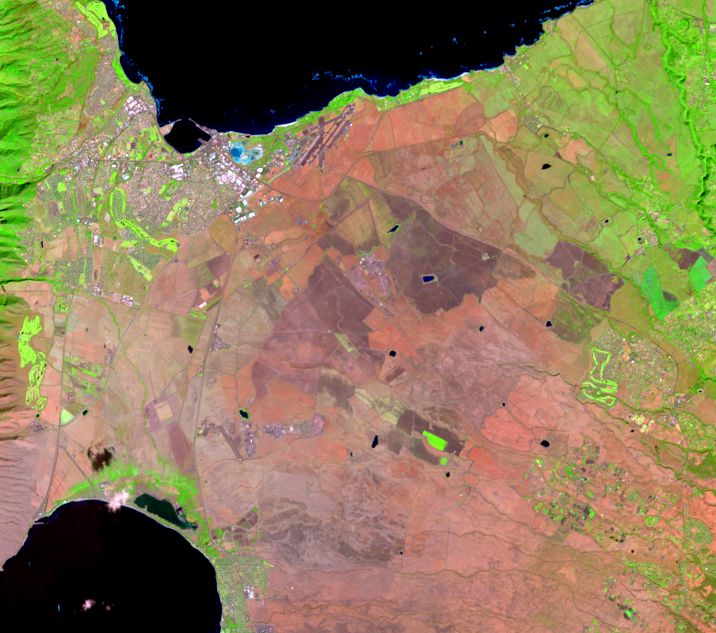 Nov. 5, 2021, Landsat 8 (path/row 63/46) — Maui central plains, Hawaii, USA