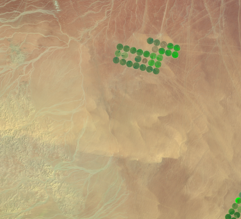 Feb. 24, 1991, Landsat 4 (path/row 172/39) — center-pivot irrigation, Saudi Arabia
