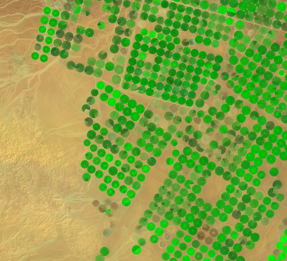 Feb. 25, 2003, Landsat 7 (path/row 172/39) — center-pivot irrigation, Saudi Arabia