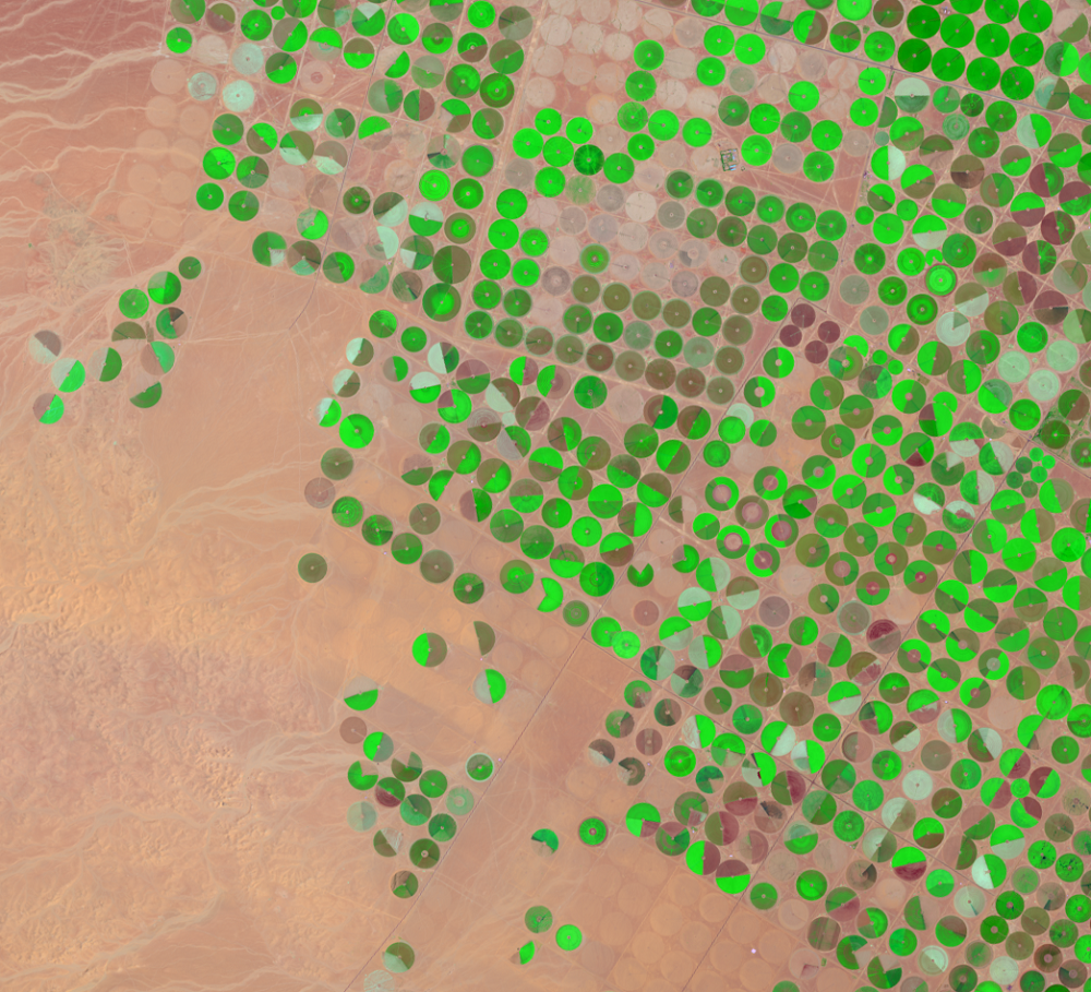 Aug. 23, 2013, Landsat 8 (path/row 172/39) — center-pivot irrigation, Saudi Arabia