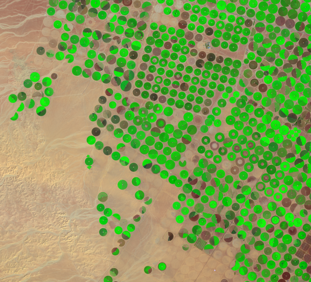 Feb. 21, 2016, Landsat 8 (path/row 172/39) — center-pivot irrigation, Saudi Arabia