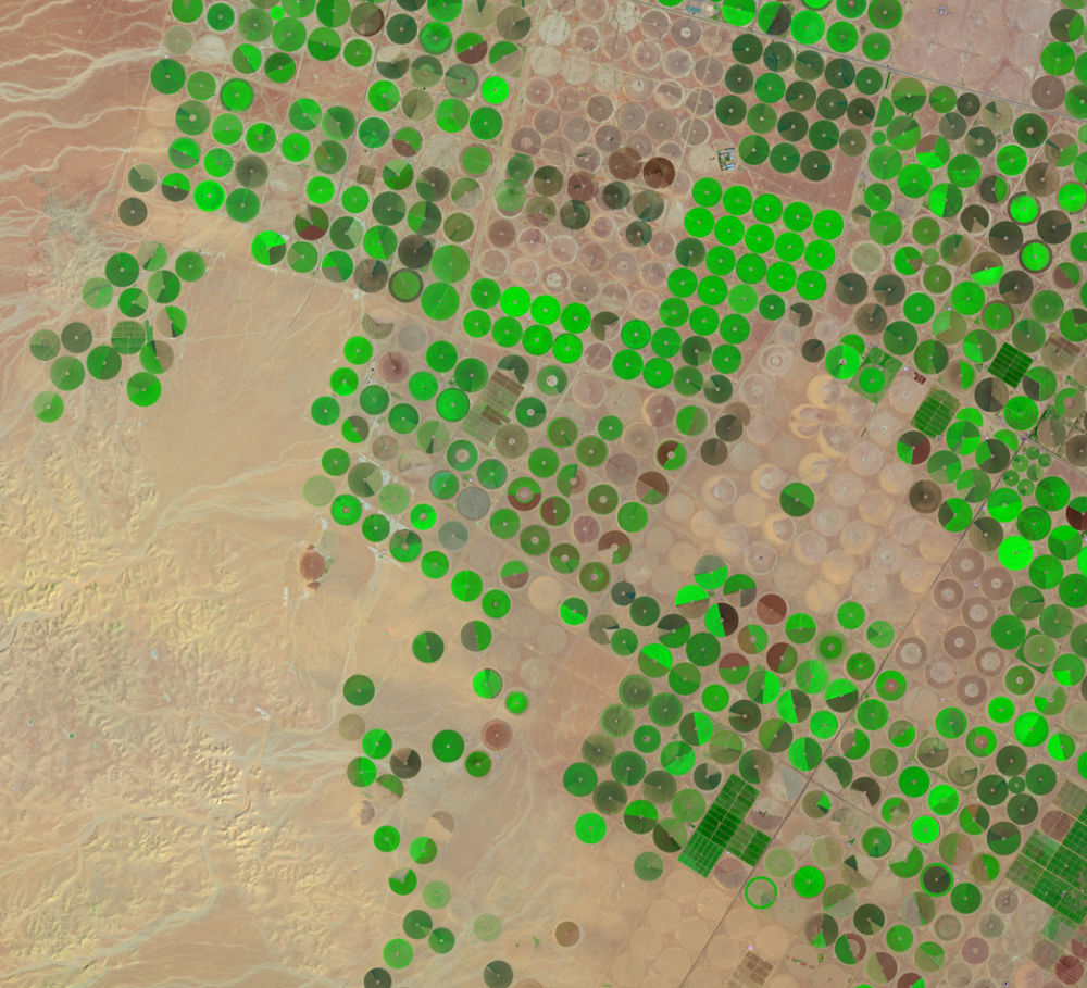 Feb. 13, 2022, Landsat 9 (path/row 172/39) — center-pivot irrigation, Saudi Arabia
