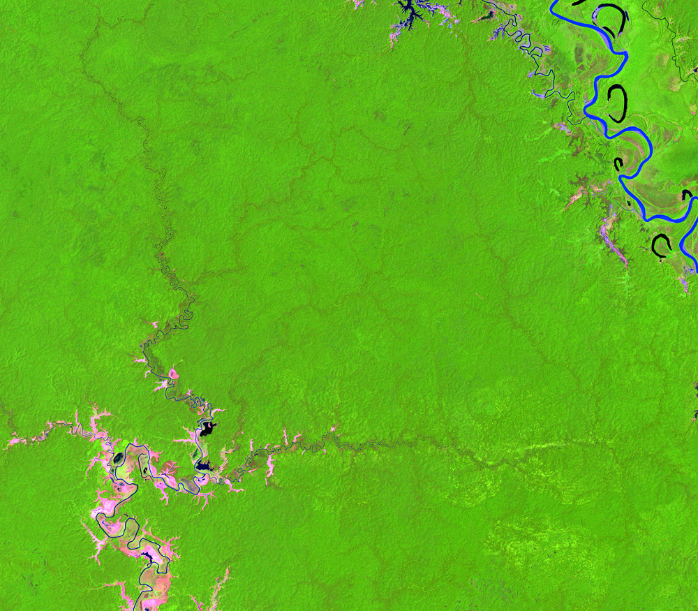 Nov. 20, 1990, Landsat 5 (path/row 100/65) — Location of palm oil plantations, Papua, Indonesia