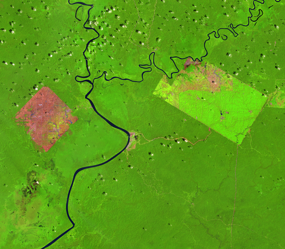 Jan. 19, 2007, Landsat 5 (path/row 100/65) — Location of palm oil plantations, Papua, Indonesia