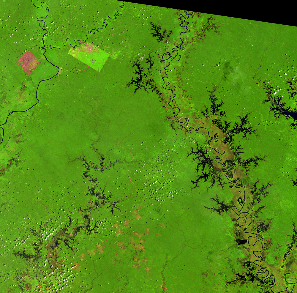 Jan. 19, 2007, Landsat 5 (path/row 100/65) — Papua, Indonesia