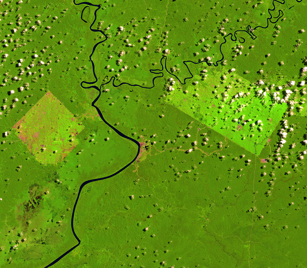 Apr. 4, 2011, Landsat 5 (path/row 100/65) — Location of palm oil plantations, Papua, Indonesia