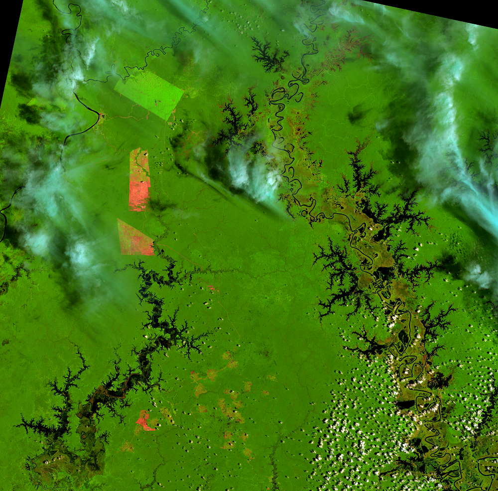 Feb. 7, 2014, Landsat 8 (path/row 100/65) — Papua, Indonesia