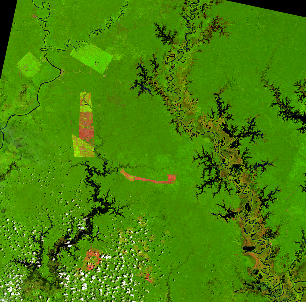 Jan. 25, 2015, Landsat 8 (path/row 100/65) — Papua, Indonesia