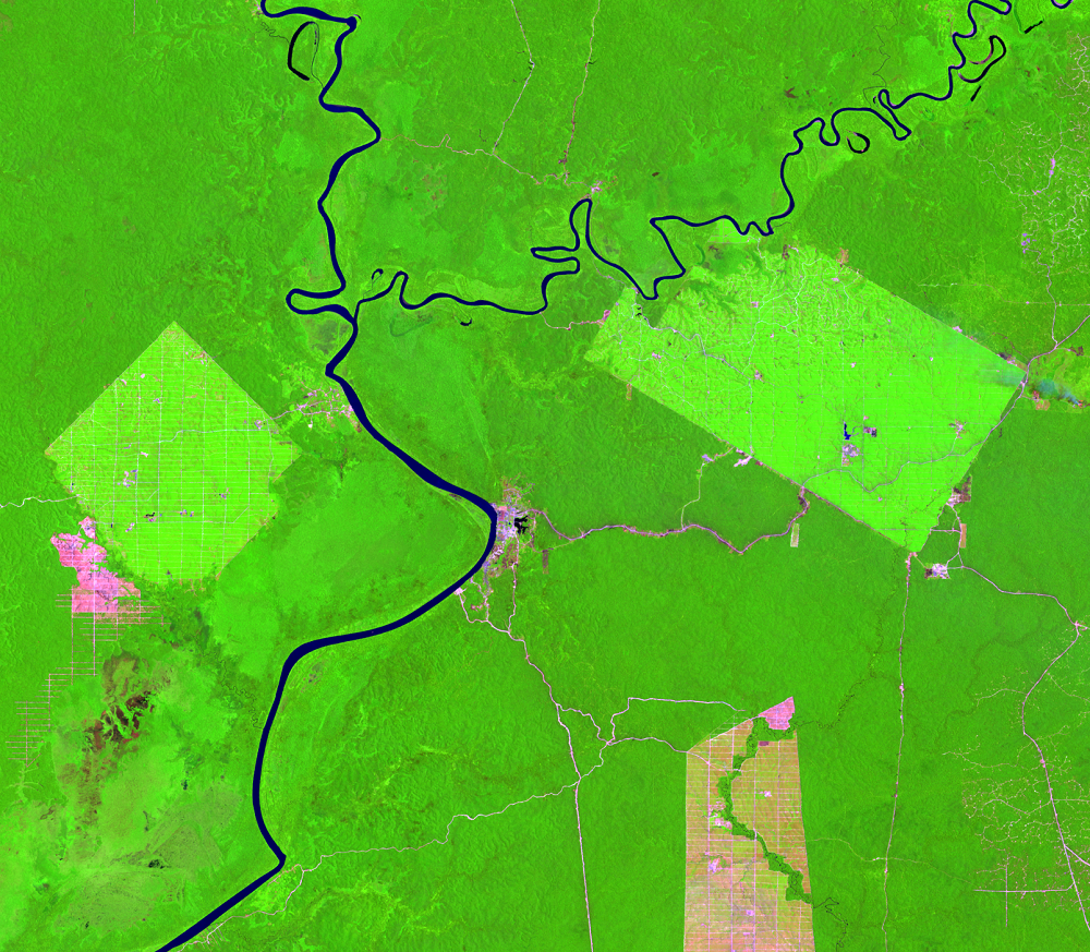 Sep. 22, 2015, Landsat 8 (path/row 100/65) — Location of palm oil plantations, Papua, Indonesia