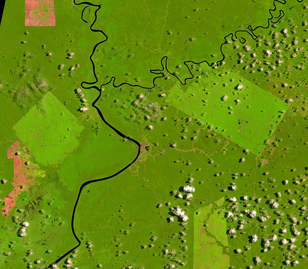  Mar. 19, 2017, Landsat 8 (path/row 100/65) — Location of palm oil plantations, Papua, Indonesia