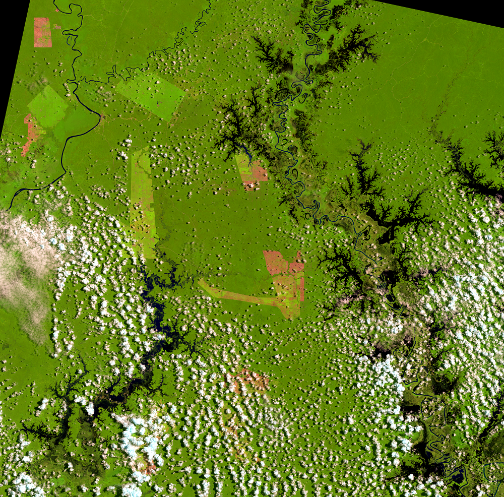Mar. 19, 2017, Landsat 8 (path/row 100/65) — Papua, Indonesia