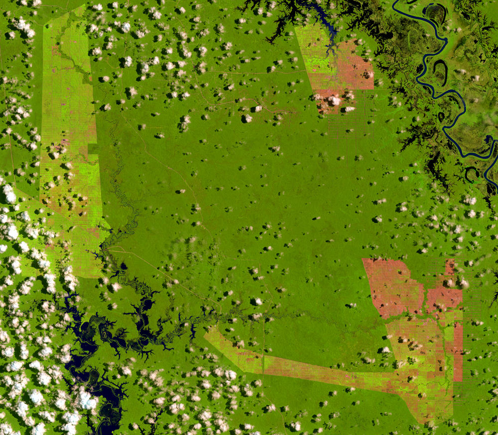 Mar. 19, 2017, Landsat 8 (path/row 100/65) — Location of palm oil plantations, Papua, Indonesia