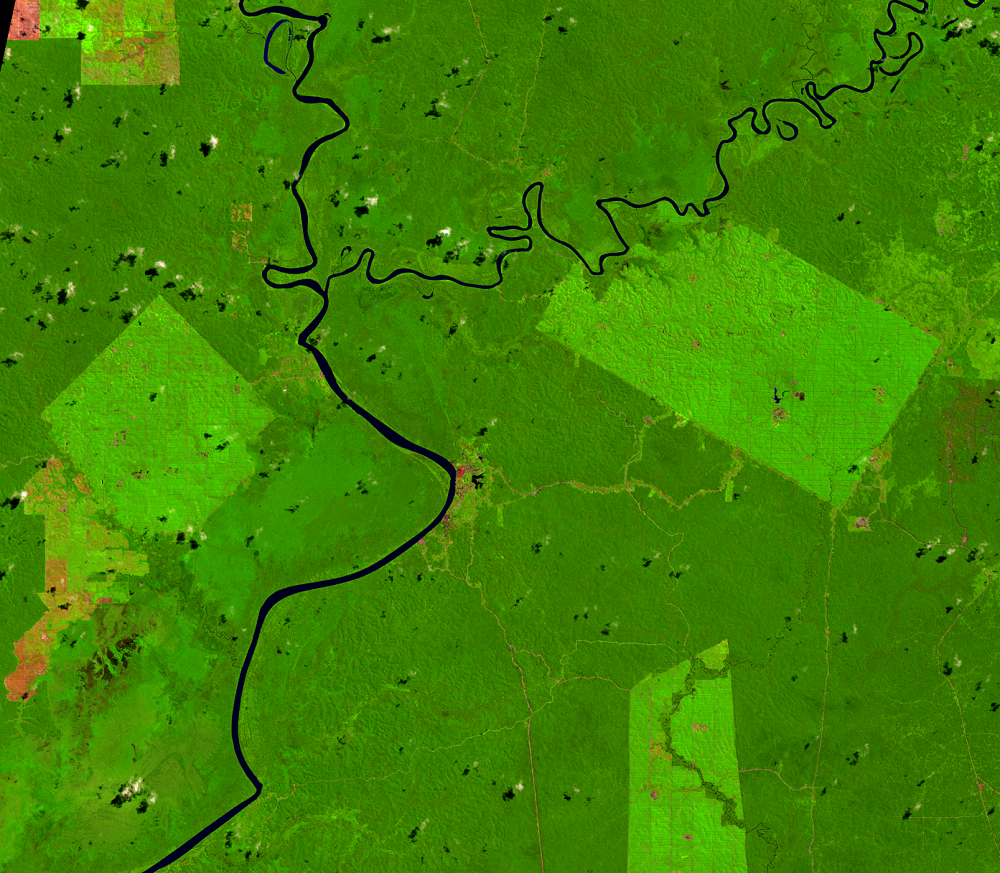Aug. 18, 2020, Landsat 8 (path/row 100/65) — Location of palm oil plantations, Papua, Indonesia