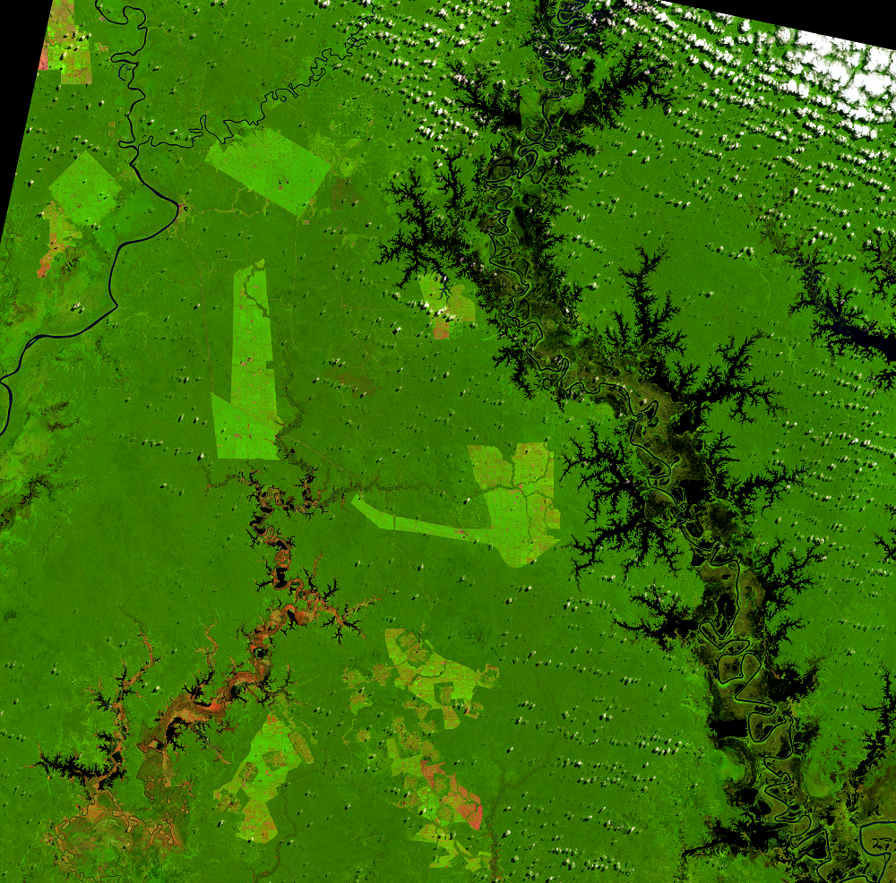 Aug. 18, 2020, Landsat 8 (path/row 100/65) — Papua, Indonesia