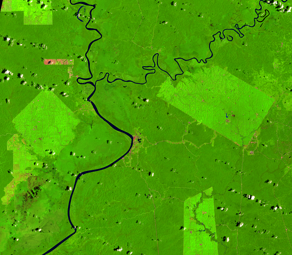 Feb. 13, 2022, Landsat 8 (path/row 100/65) — Location of palm oil plantations, Papua, Indonesia