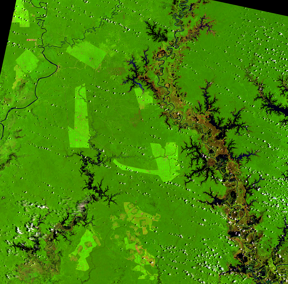 Feb. 13, 2022, Landsat 8 (path/row 100/65) — Papua, Indonesia