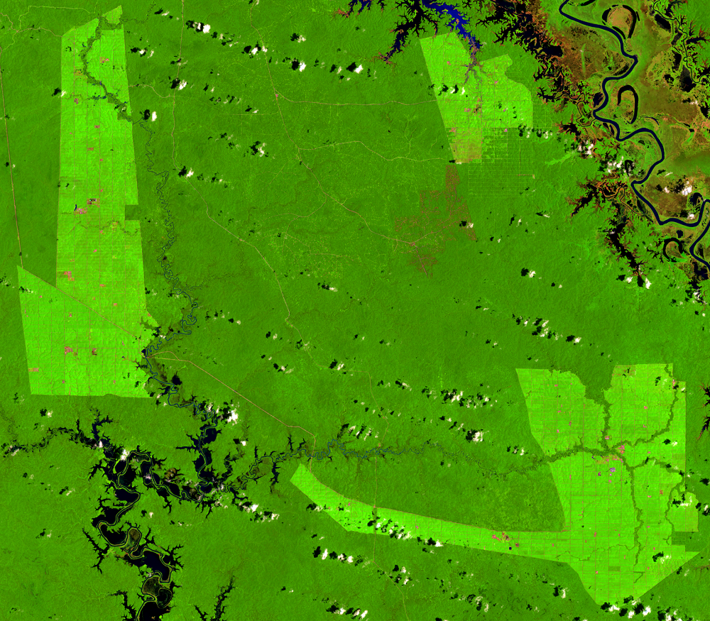 Feb. 13, 2022, Landsat 8 (path/row 100/65) — Location of palm oil plantations, Papua, Indonesia