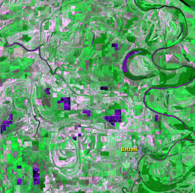 Oct. 1, 1972, Landsat 1 (path/row 24/37) — Catfish farms, Mississippi, USA
