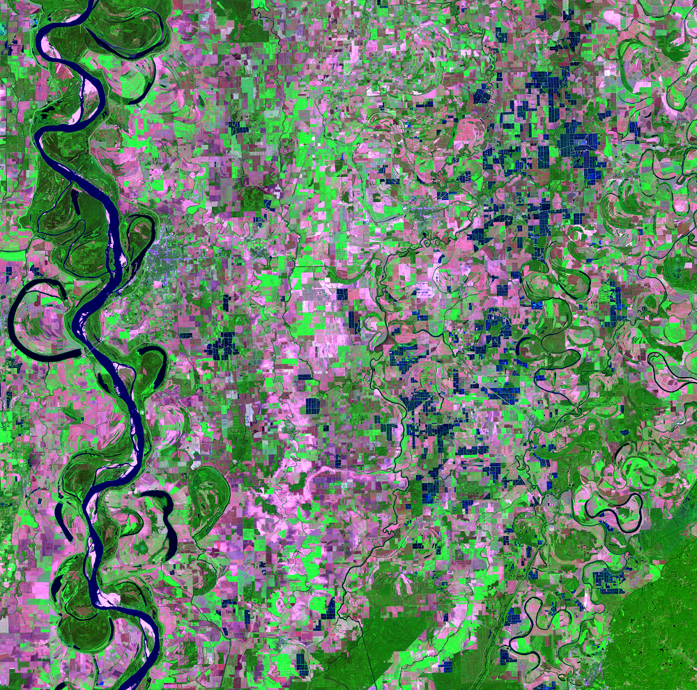 Sept. 20, 2007, Landsat 5 (path/row 23/37) — Catfish farms, Mississippi, USA