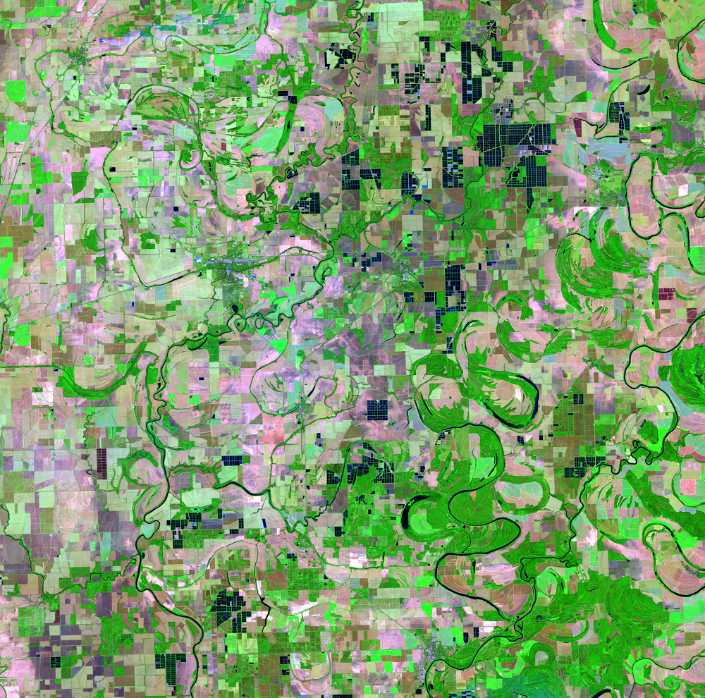 Sept. 28, 2016, Landsat 8 (path/row 23/37) — Catfish farms, Mississippi, USA