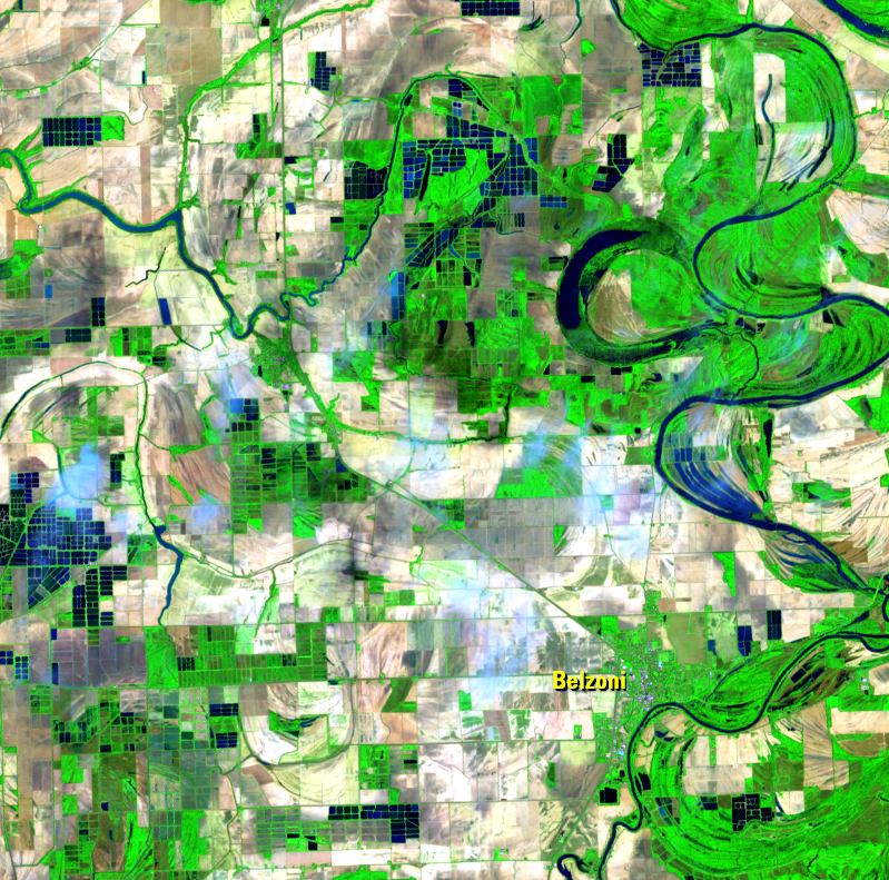 Apr. 19, 2021, Landsat 8 (path/row 23/37) — Catfish farms, Mississippi, USA