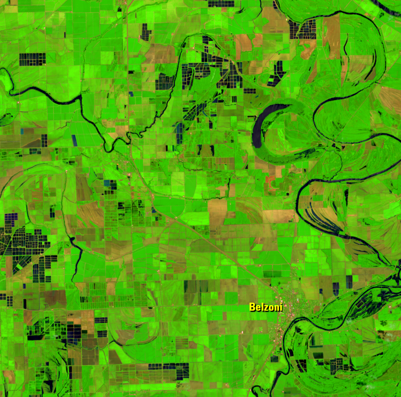 June 22, 2021, Landsat 8 (path/row 23/37) — Catfish farms, Mississippi, USA