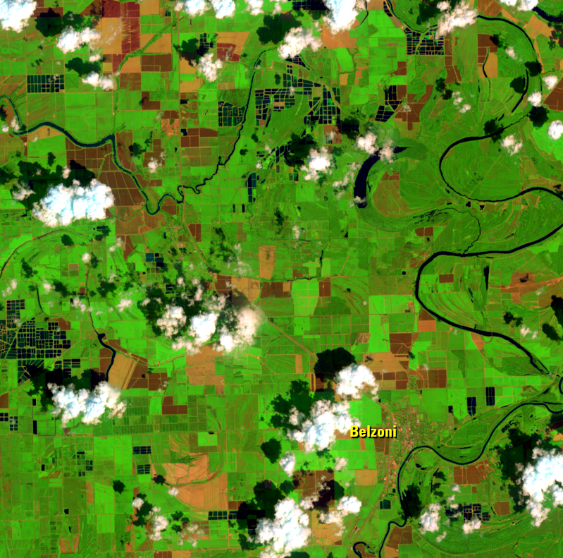 Aug. 25, 2021, Landsat 8 (path/row 23/37) — Catfish farms, Mississippi, USA