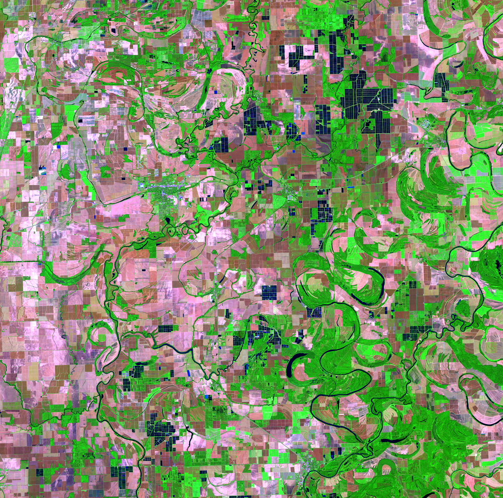 Sept. 26, 2021, Landsat 8 (path/row 23/37) — Catfish farms, Mississippi, USA