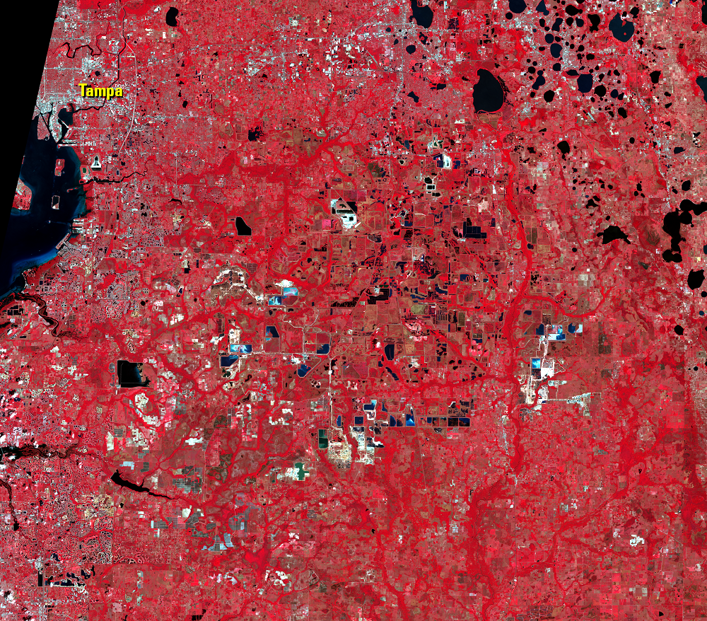 Mar. 28, 2022, Landsat 9 (path/row 16/41) — phosphate mines near Tampa, Florida, USA