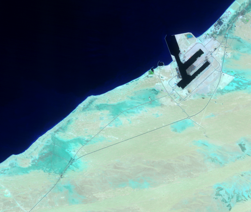 Apr. 29, 1984, Landsat 5 (path/row 160/42,43) — Palm Jebel Ali, Dubai, United Arab Emirates