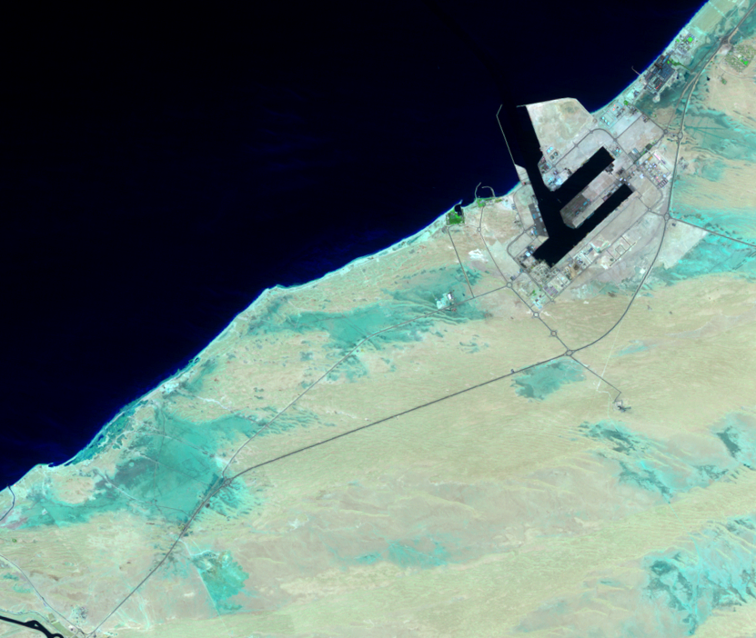 May 3, 1991, Landsat 5 (path/row 160/42,43) — Palm JJebel Ali, Dubai, United Arab Emirates