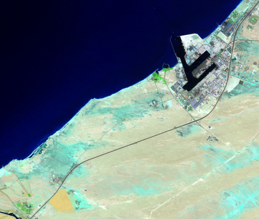 May 22, 2001, Landsat 7 (path/row 160/42,43) — Palm Jebel Ali, Dubai, United Arab Emirates