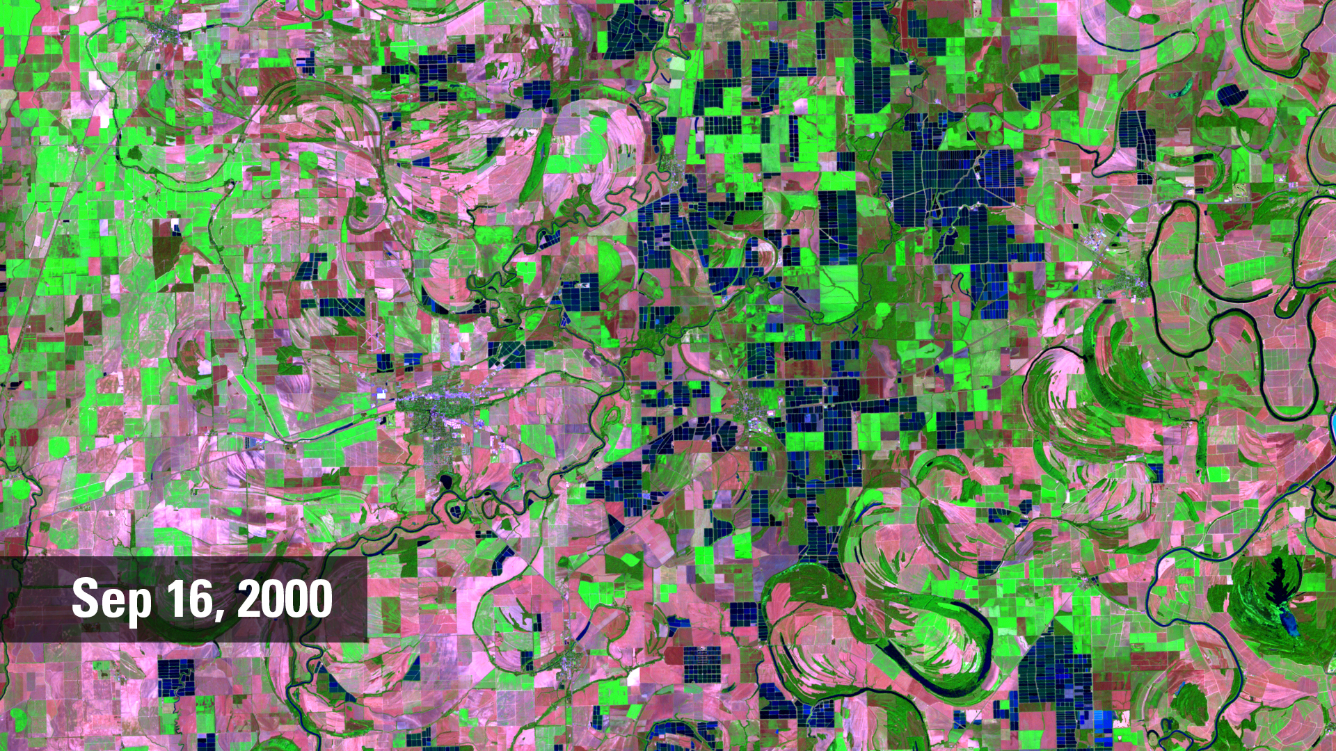 False Color Landsat 5 image of catfish farms in Mississippi