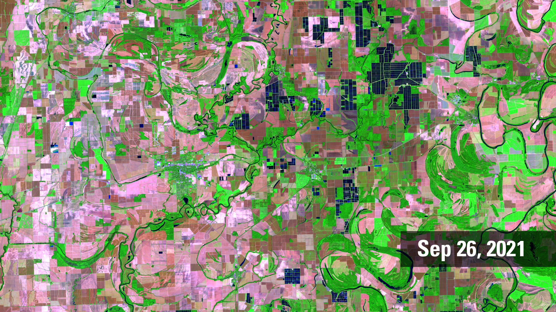 False Color Landsat 8 image of catfish farms in Mississippi