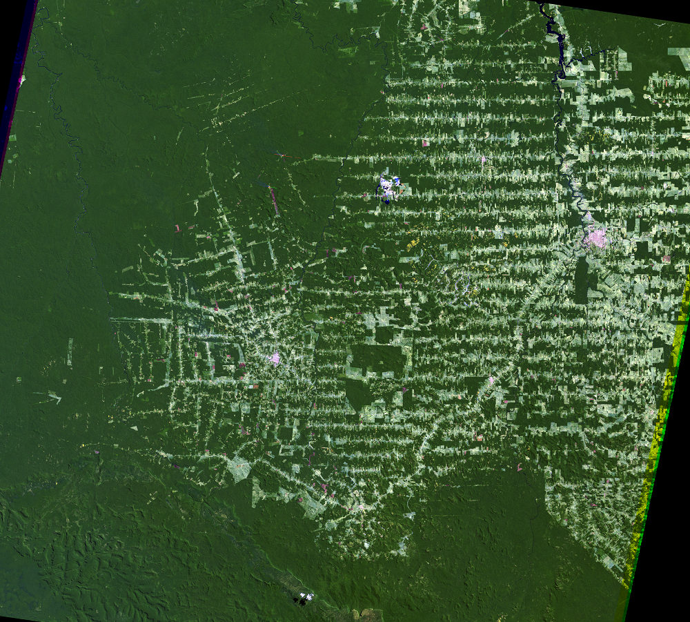ia Viva: Rondônia and Acre states, Brazil - Trillion Trees