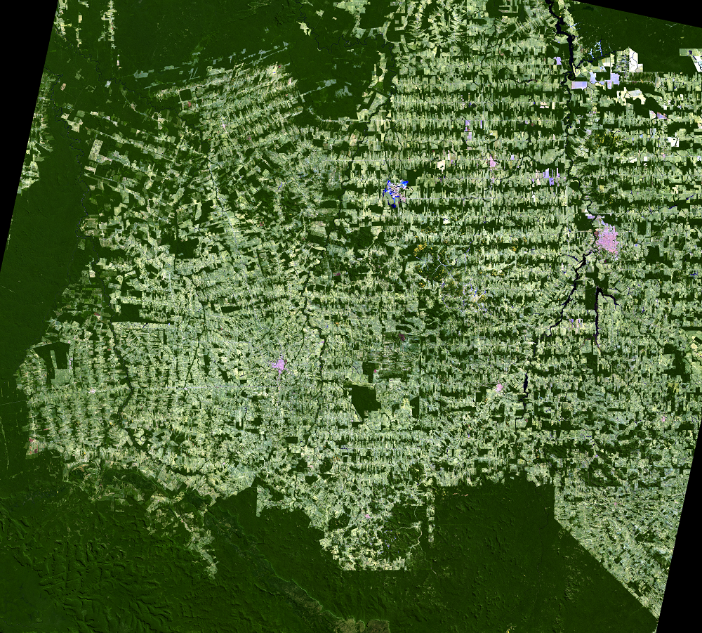 ia Viva: Rondônia and Acre states, Brazil - Trillion Trees