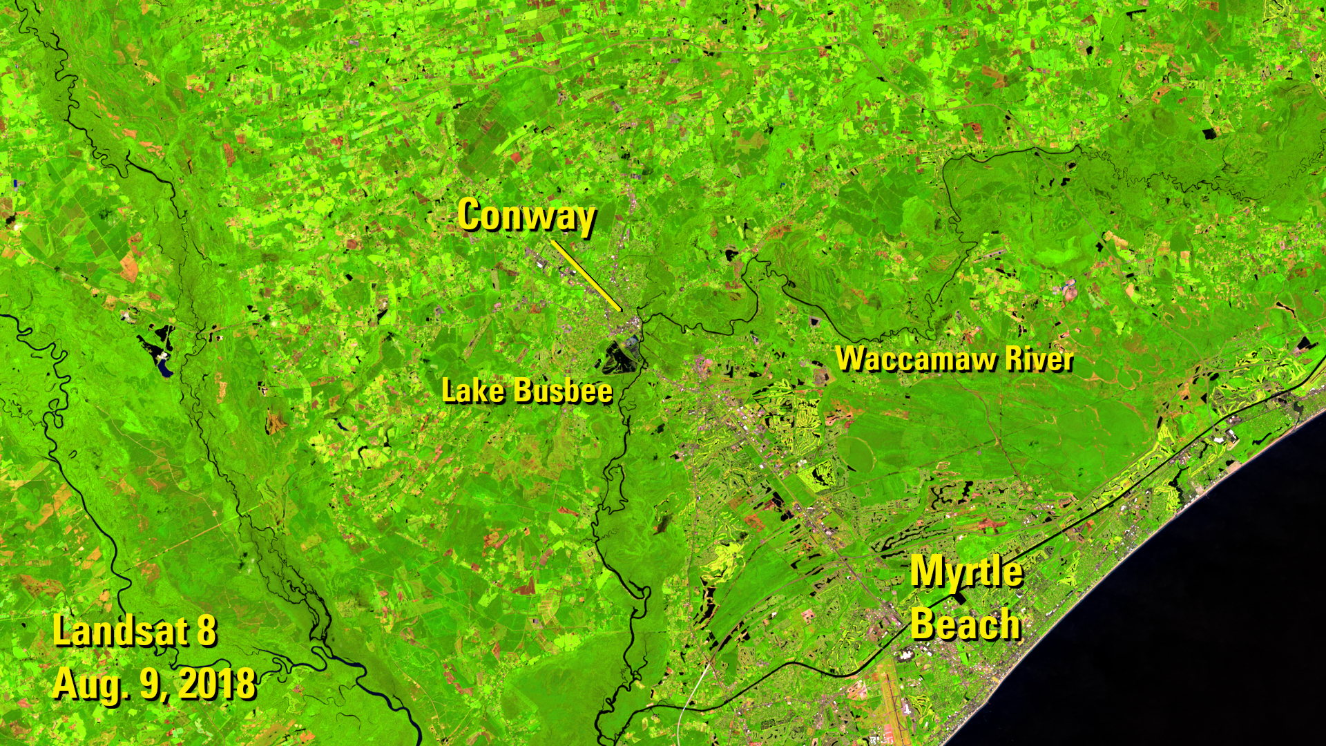 Landsat 8 image of Conway, S.C. before Hurricane Florence