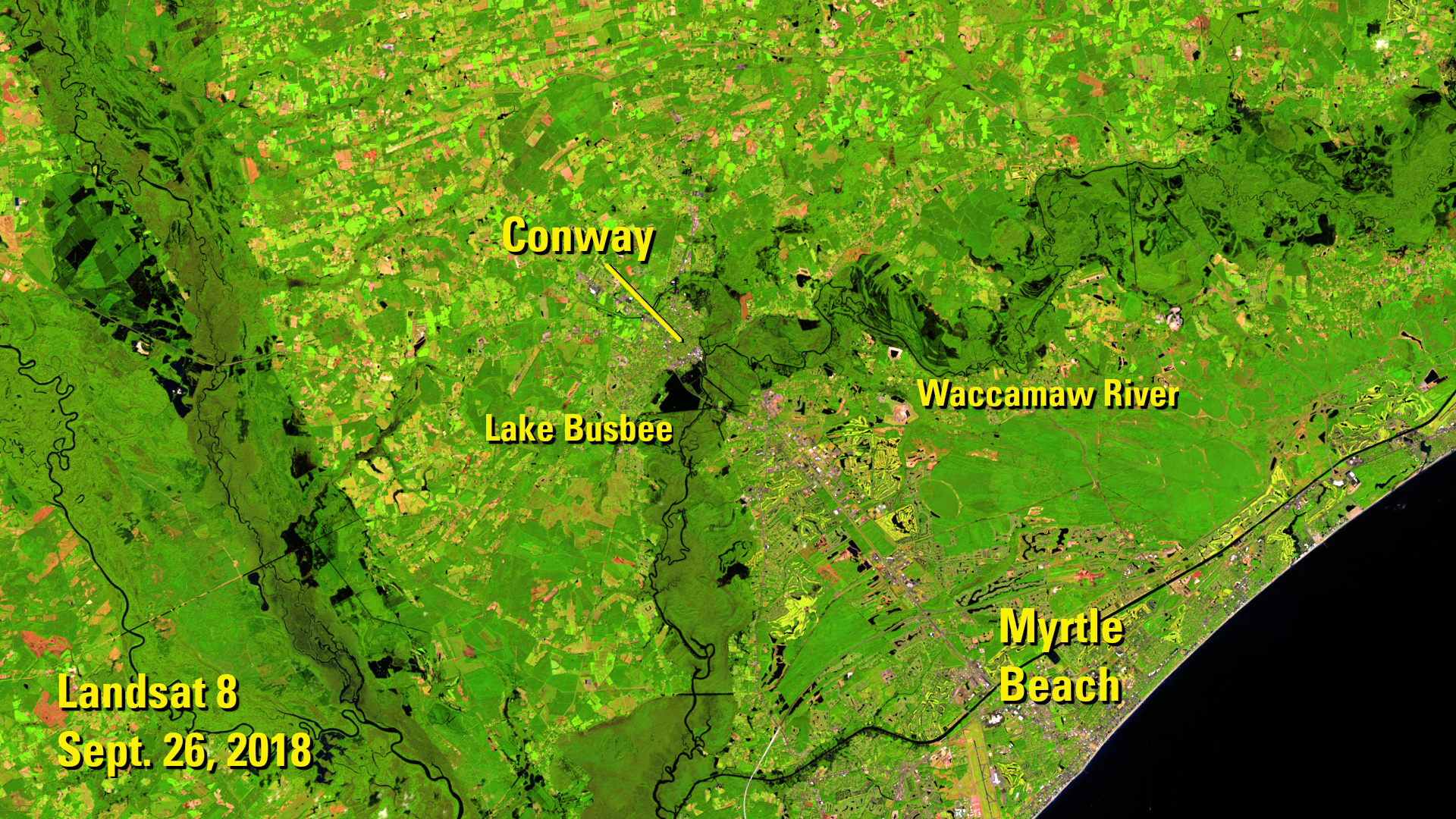 Landsat 8 image of Conway, S.C. after Hurricane Florence
