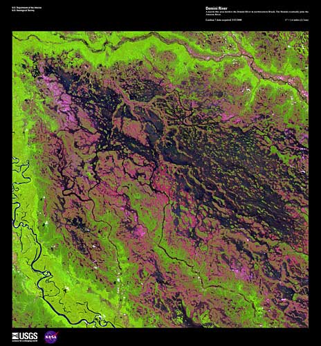 The Demini River and surrounding areas represented be bright greens, pinks, and near to black colors.