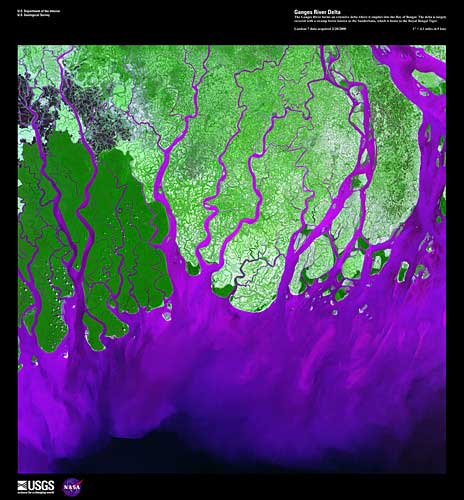 Light and dark greens. Purple rivers and streams can be seen running down into a bay that have a few different purples at the bottom.