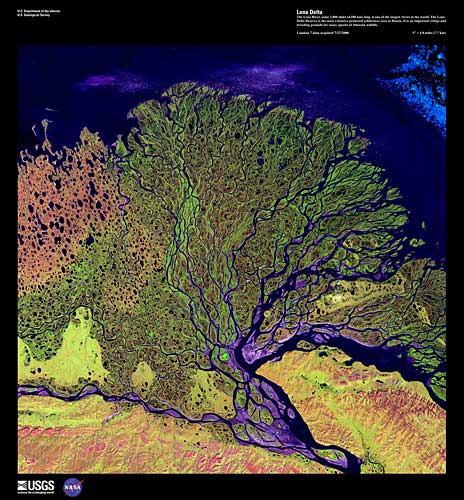 The Lena Delta appears as a tree like structure.