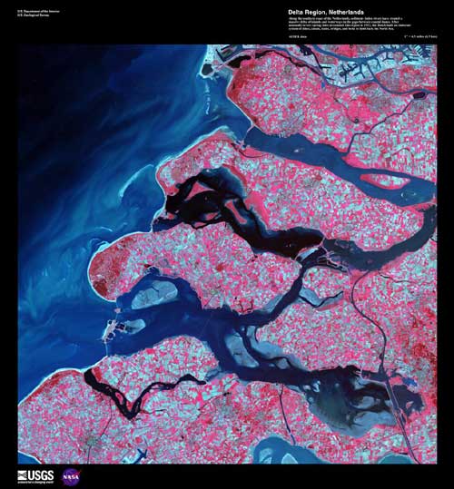 False color image shows pink land extending out in the form of islands into the blue waters.