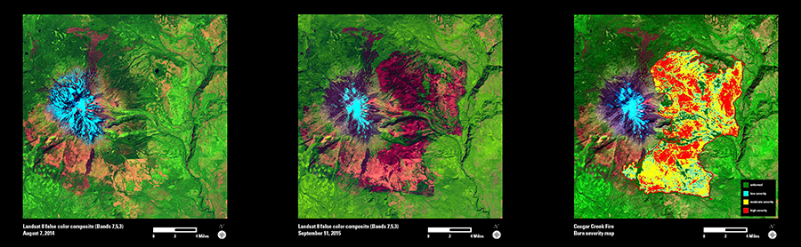 Landsat Reveals Post-Fire Problems