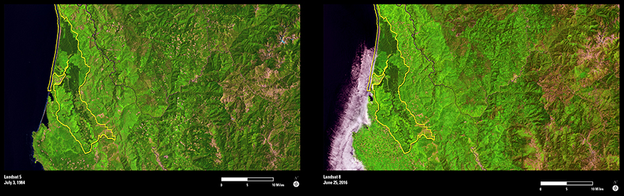 Landsat Monitors 1,800-Year-Old Redwoods