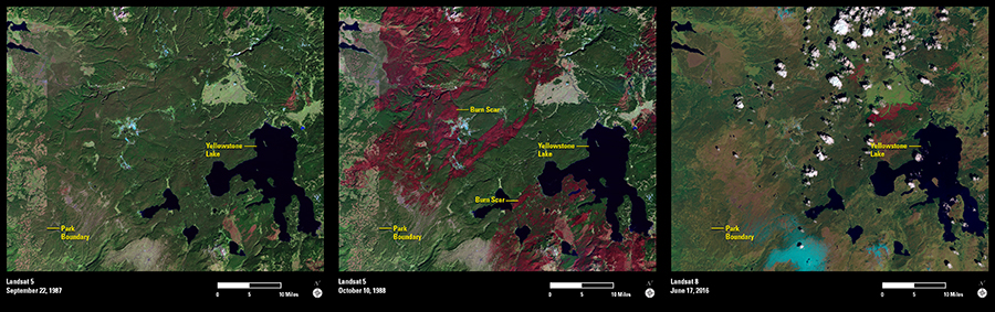 Fire and Rebirth: Landsat Tells Yellowstone’s Story