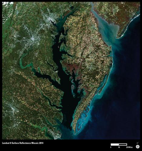 Chesapeake Bay: A Landsat 8 Surface Reflectance Mosaic